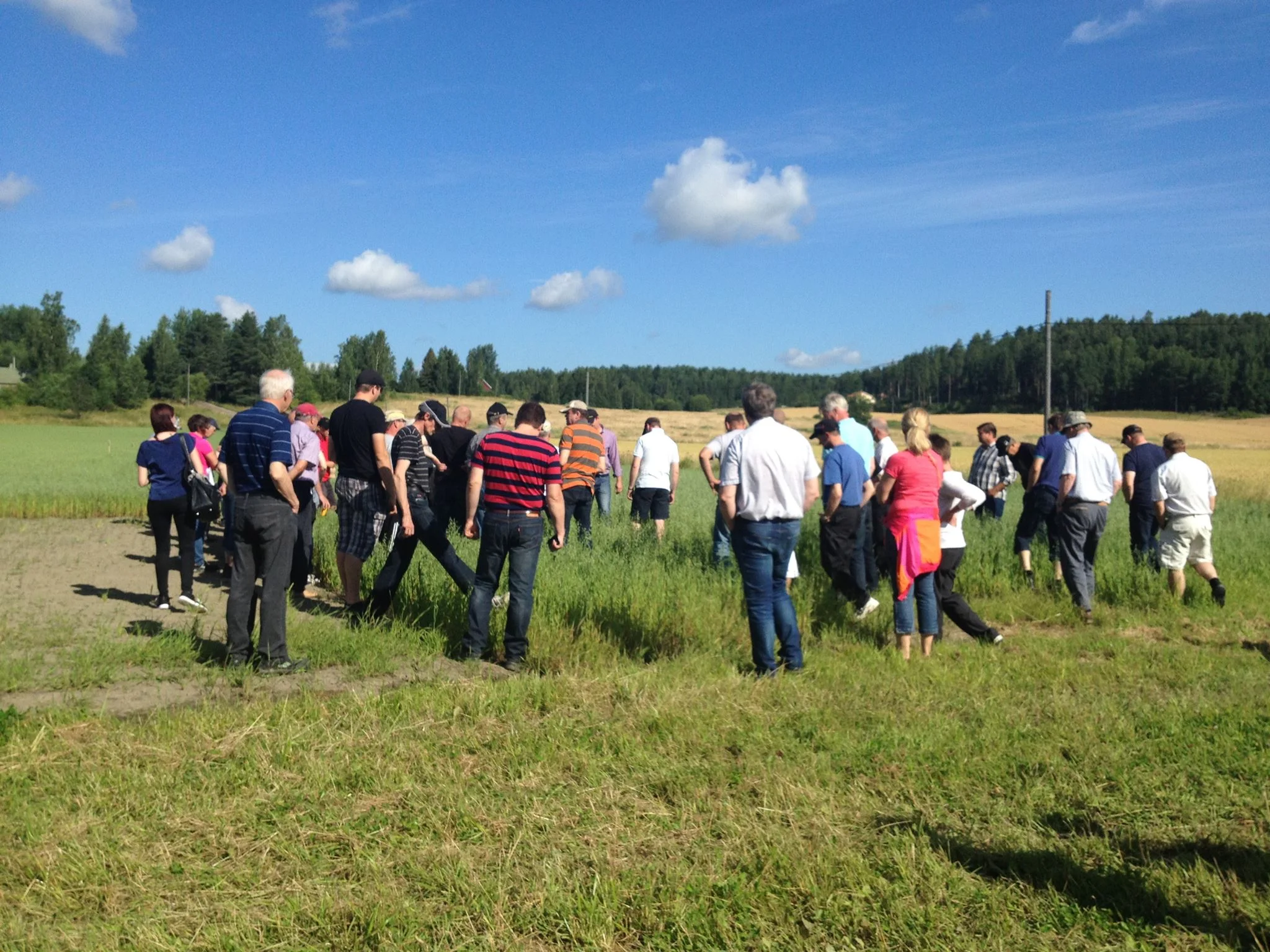 Kerääjäkasvien pellonpiennarpäivässä 7.8.2015 oli yli 70 osallistujaa.