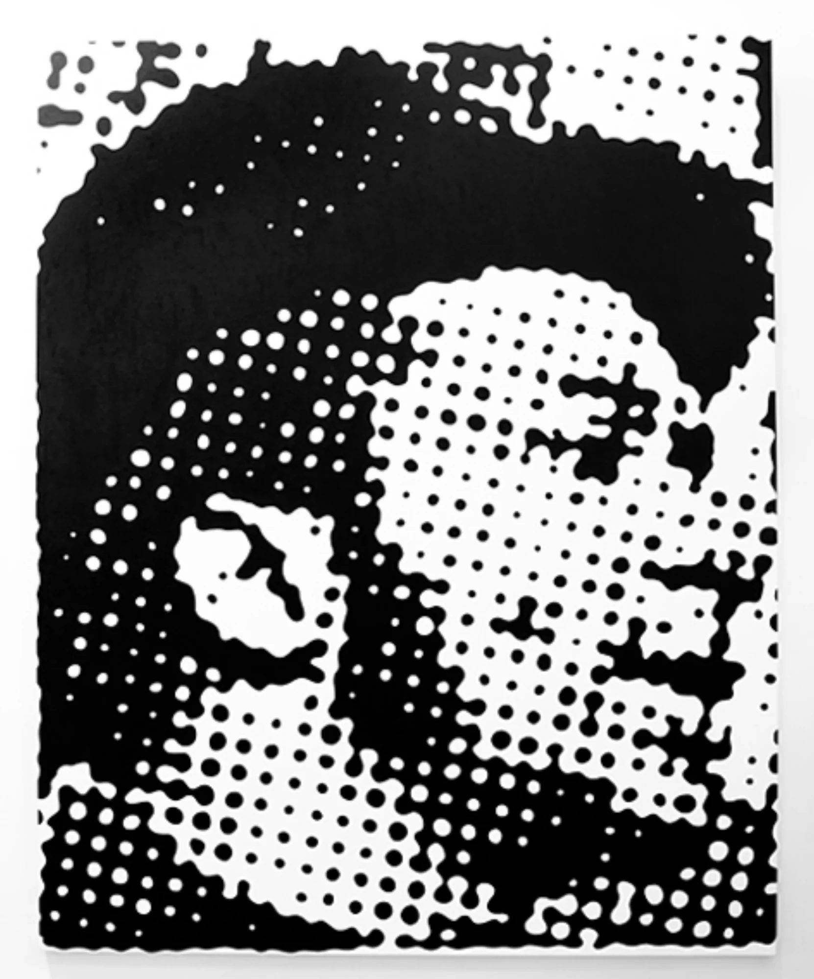 dash_gallery12.jpg