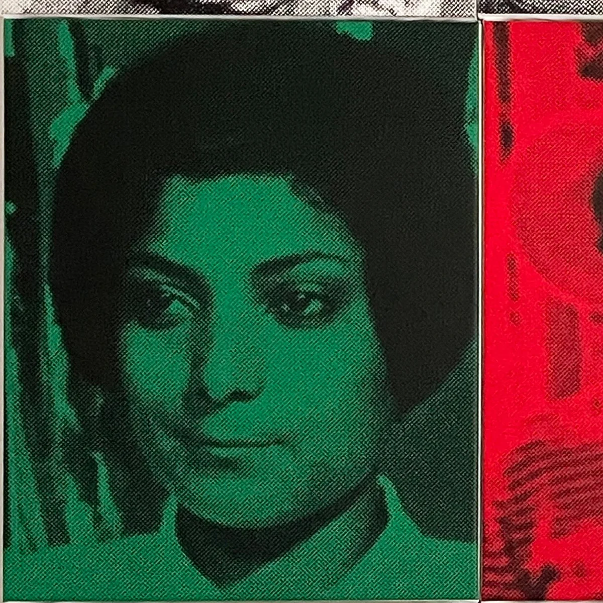 Nine Leila Khaled_Canvases_key image.jpg