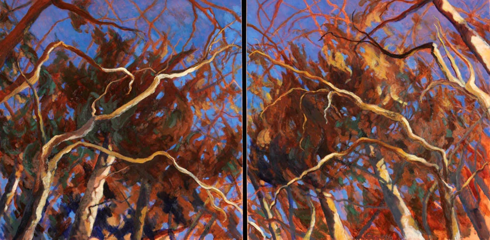 Trees and Sky
