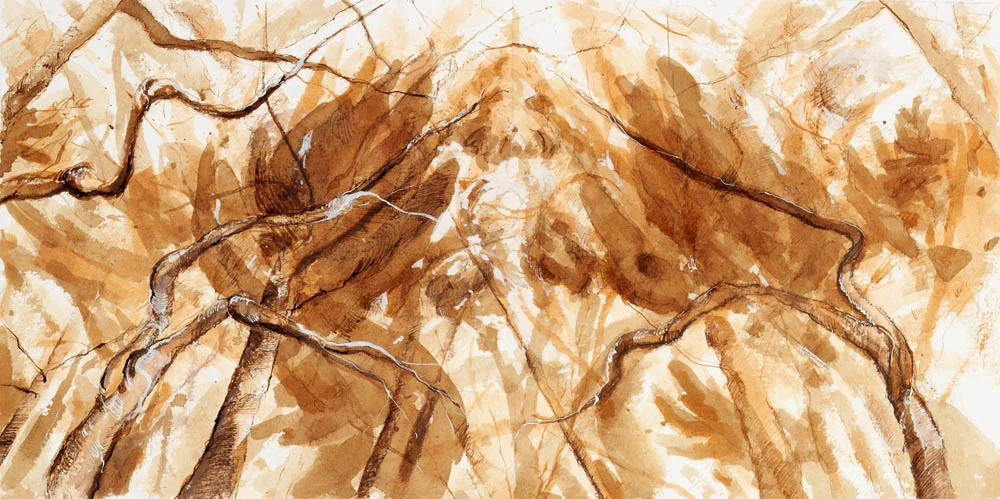 Trees and Sky, Study #37