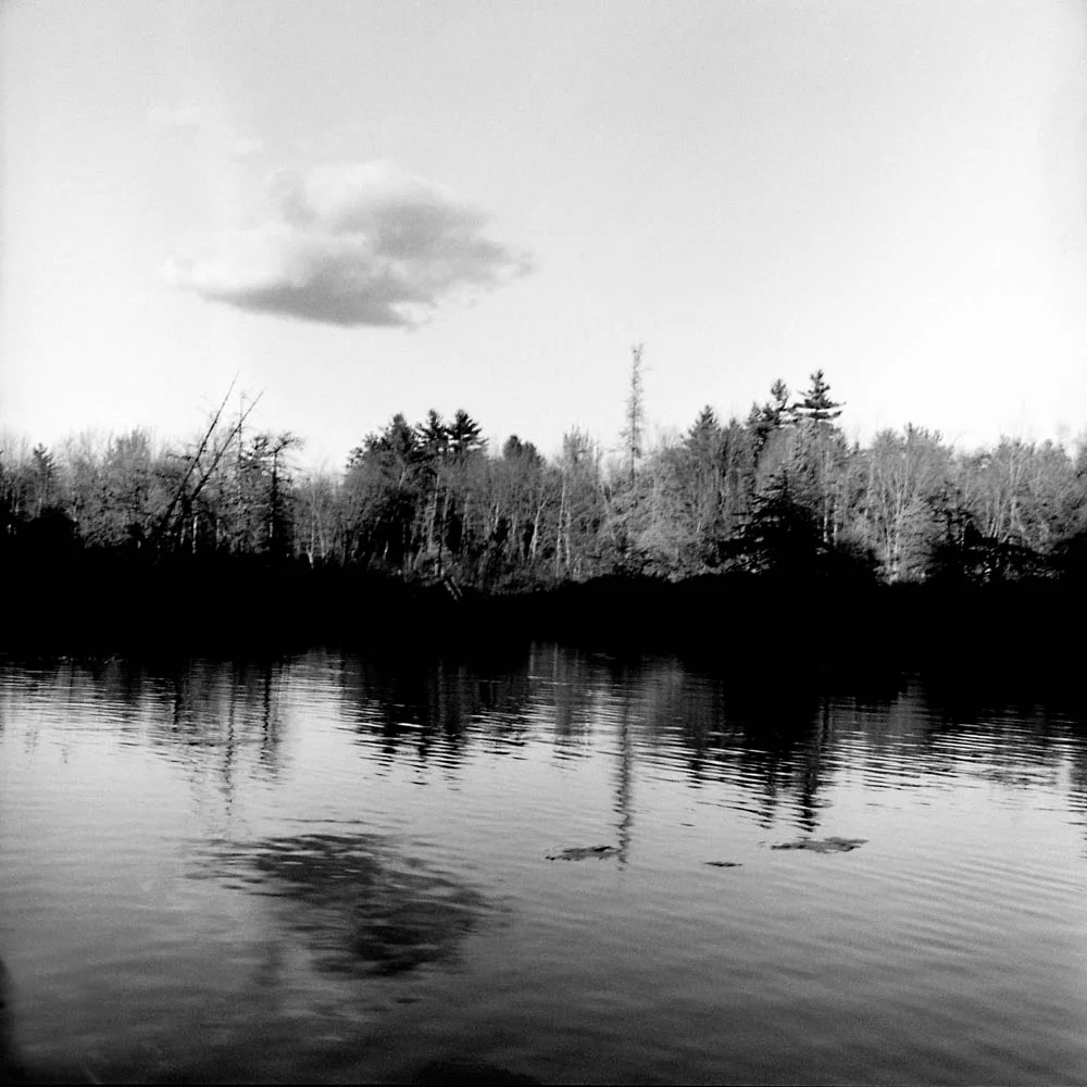 Mud Pond