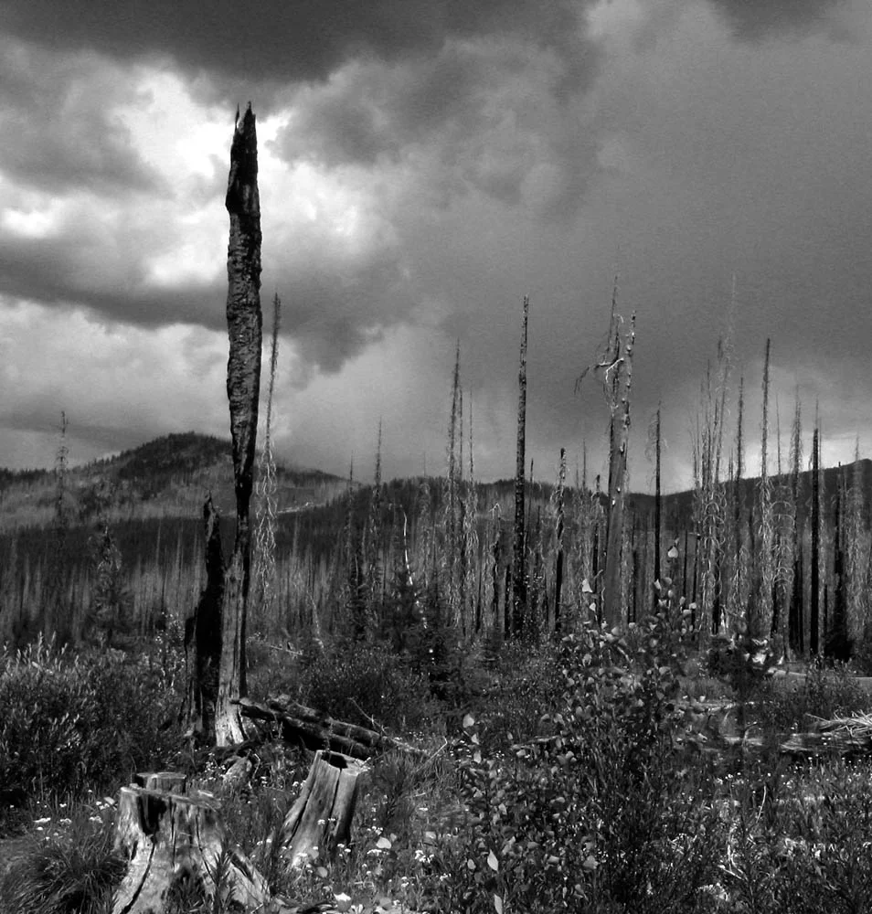 After the Fire