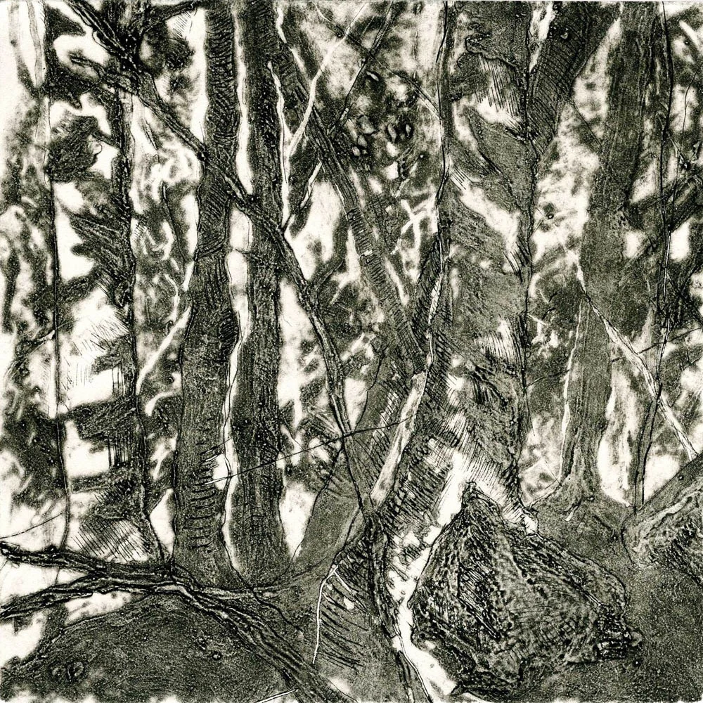 Woods Interior, #1, Suite of 4 prints