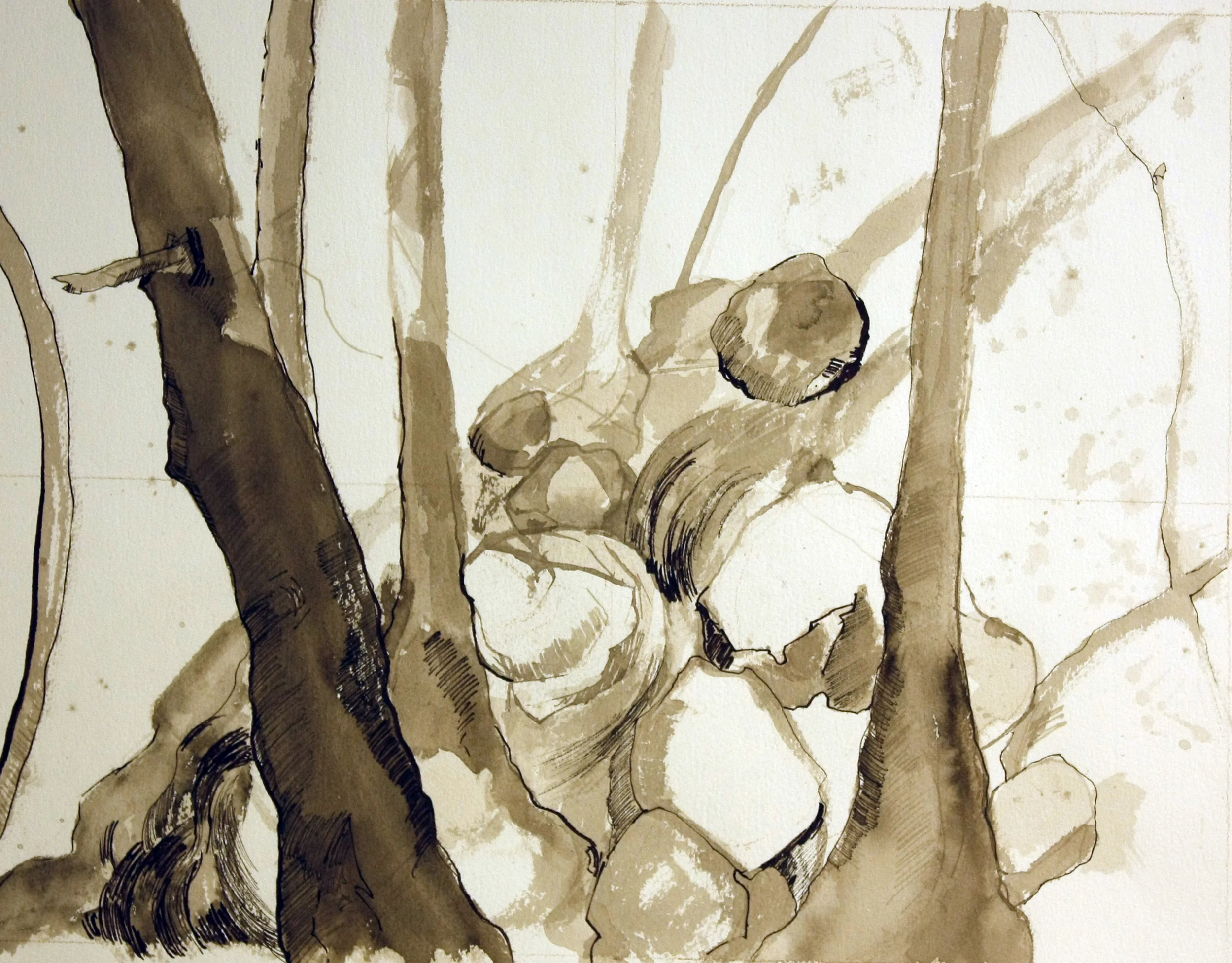 Stream in the Woods