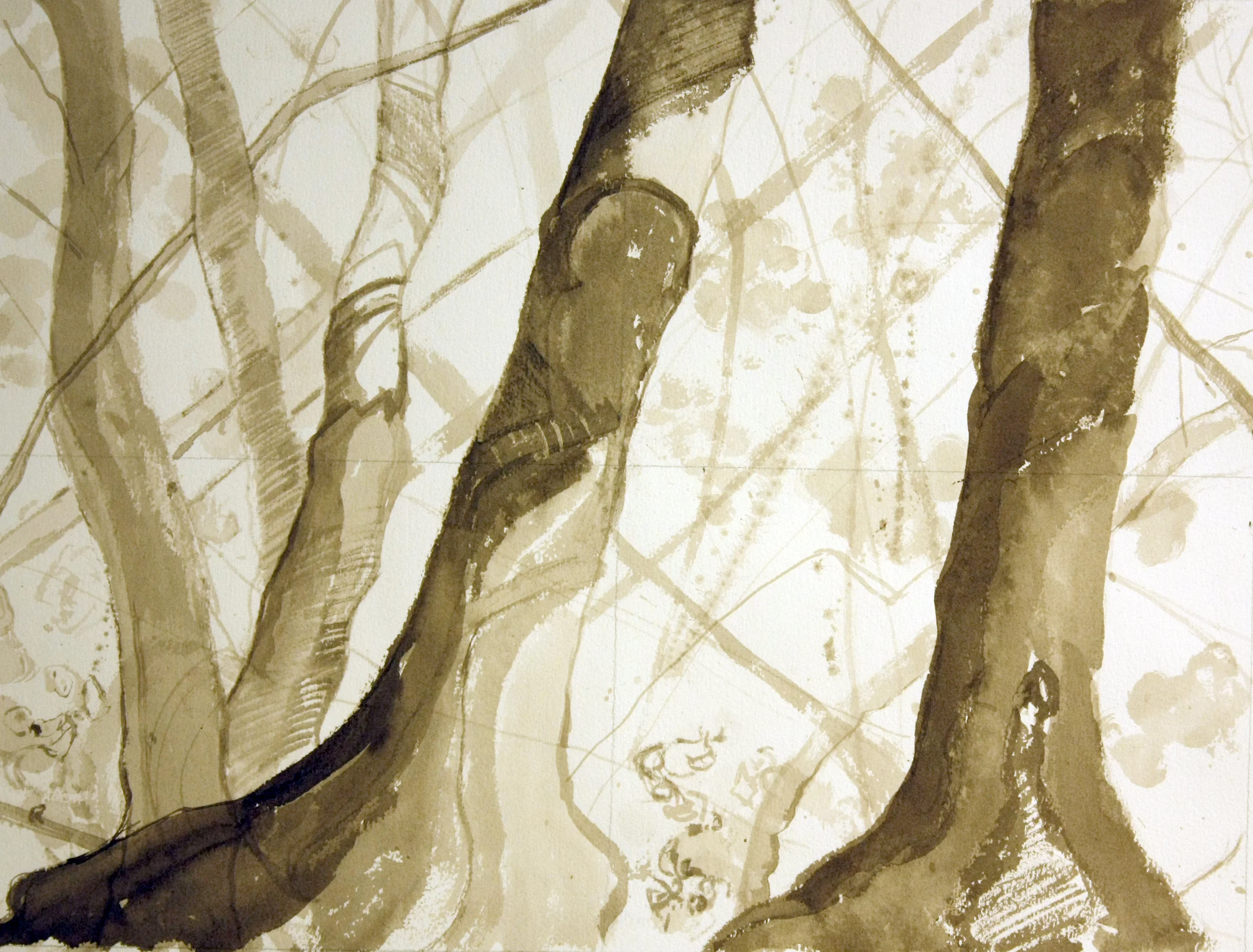 Tree Studies