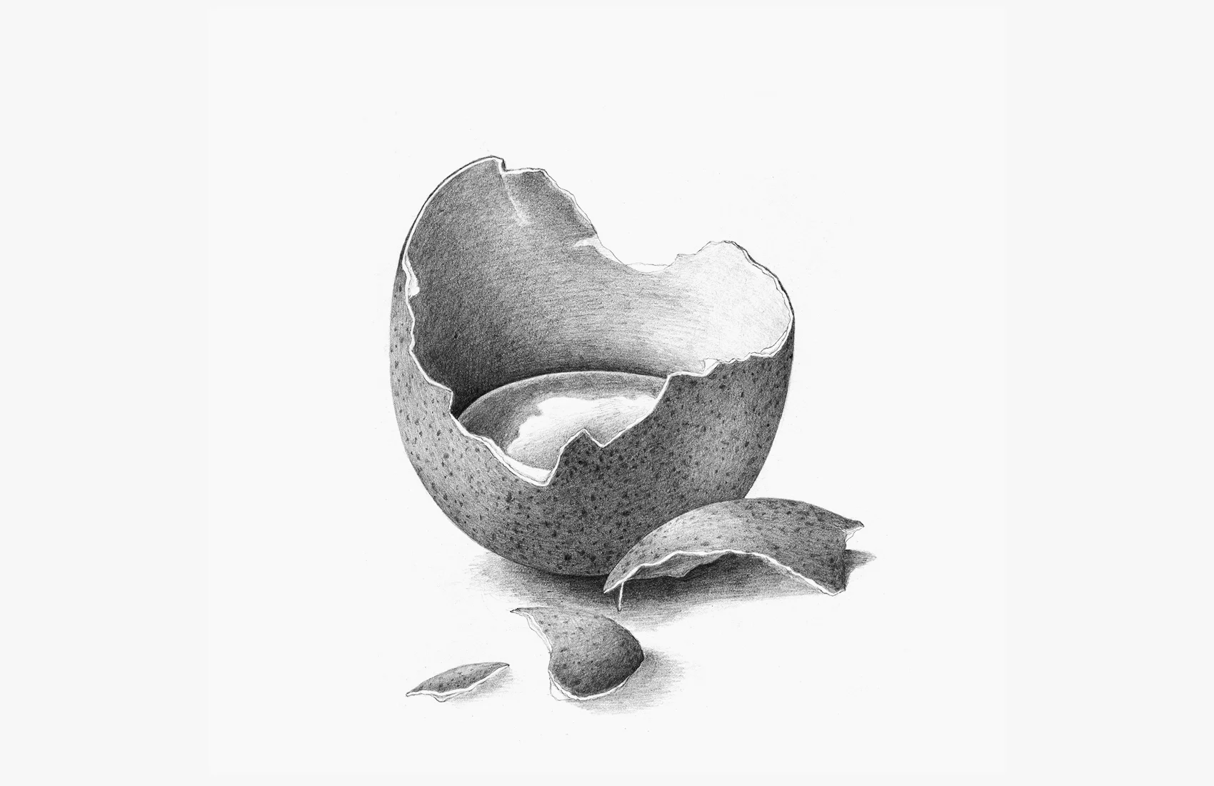 Image12.jpg