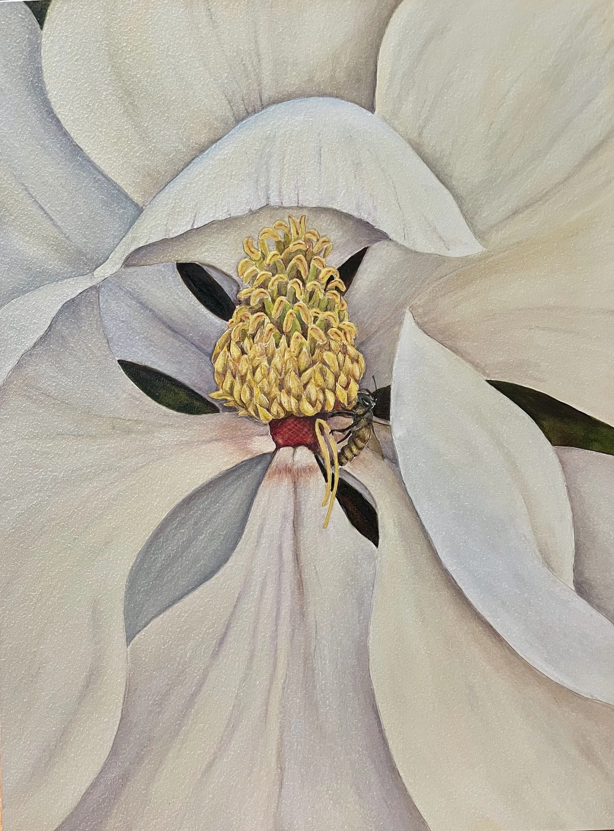 BeesMagnolia.jpg
