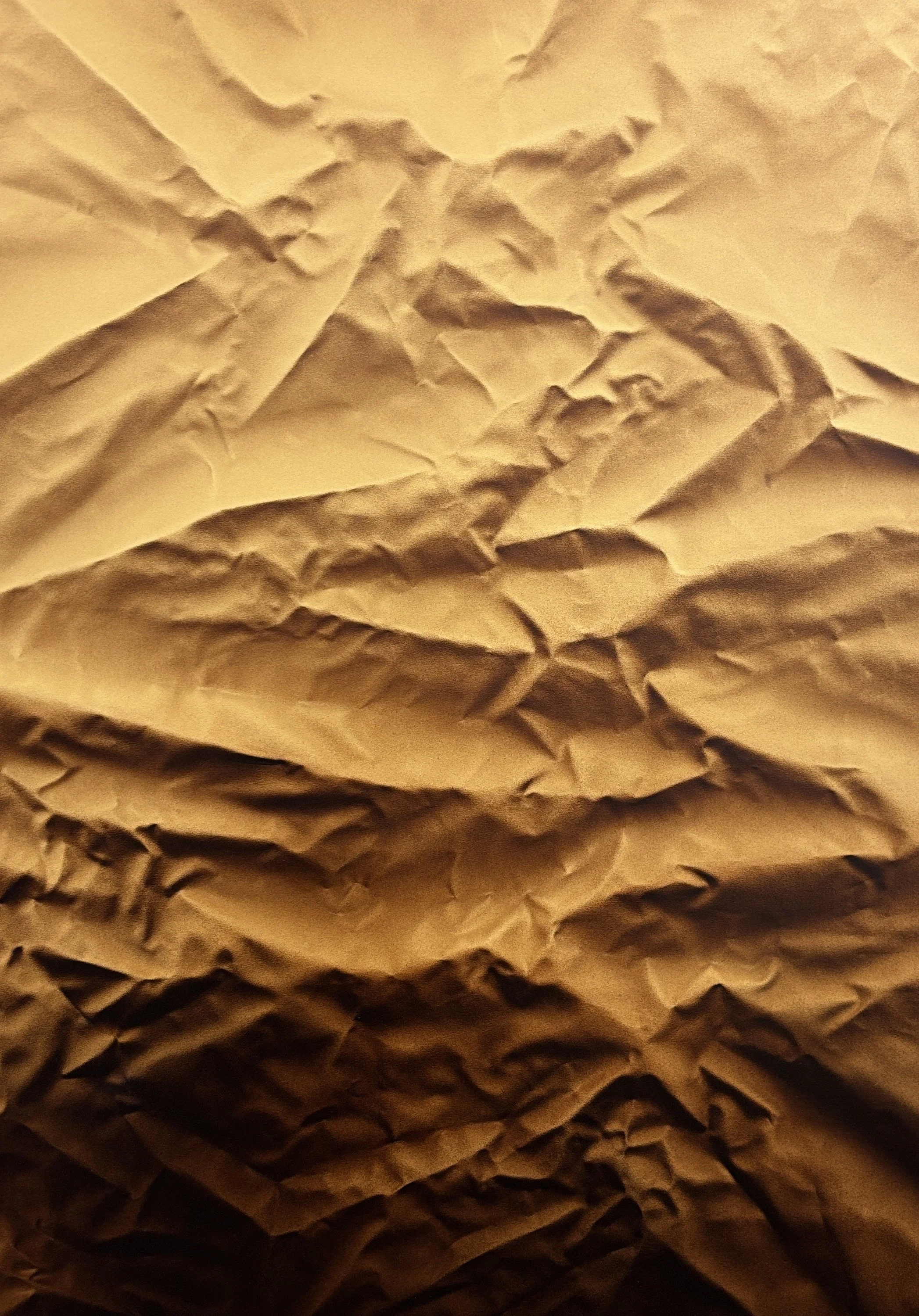 SHADOW PLAY SEPIA TONES