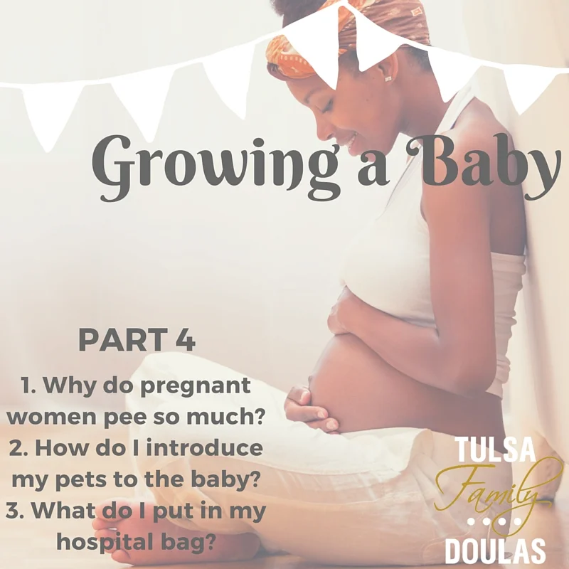 third-trimester-questions.jpg