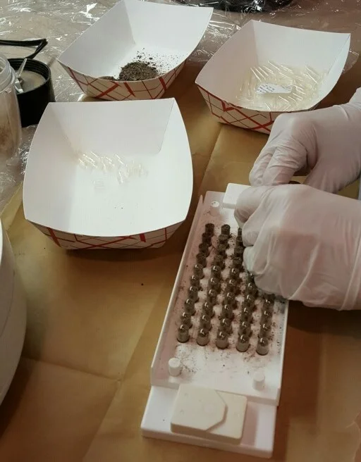 Placing the dehydrated placenta into capsules.