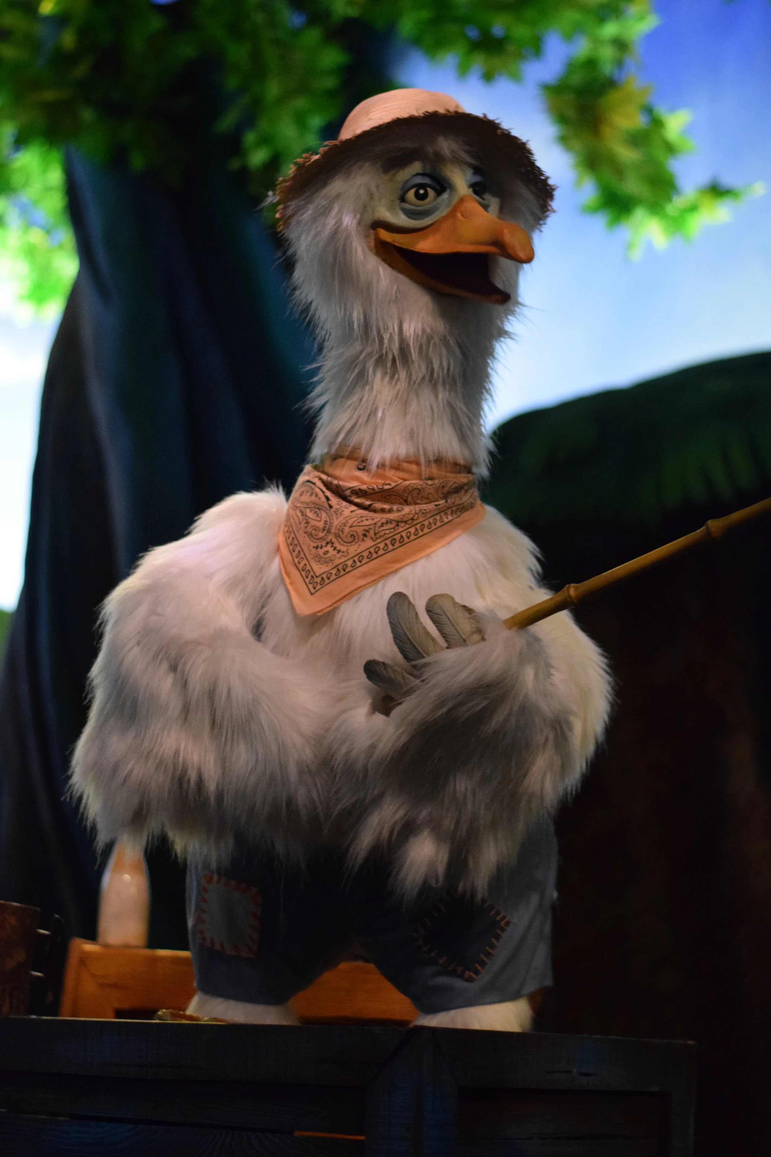 Splash Mountain Goose