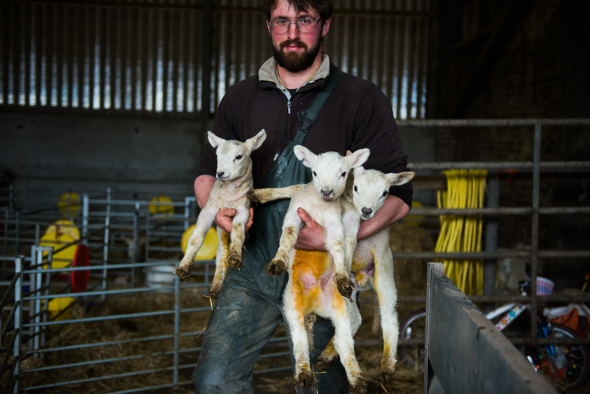 Arnprior_Lambing_low_res-271.jpg
