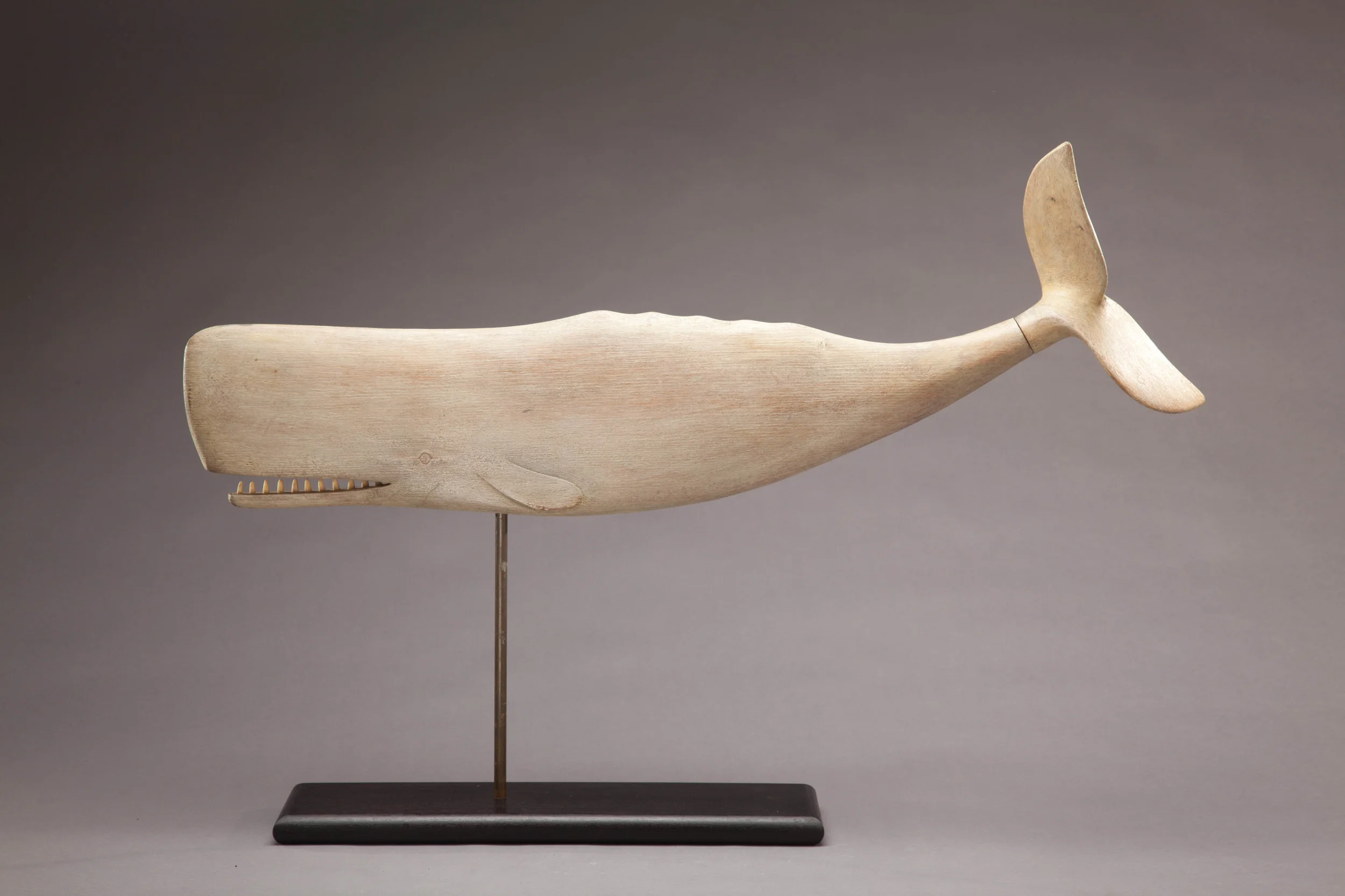 Sperm Whale Vane