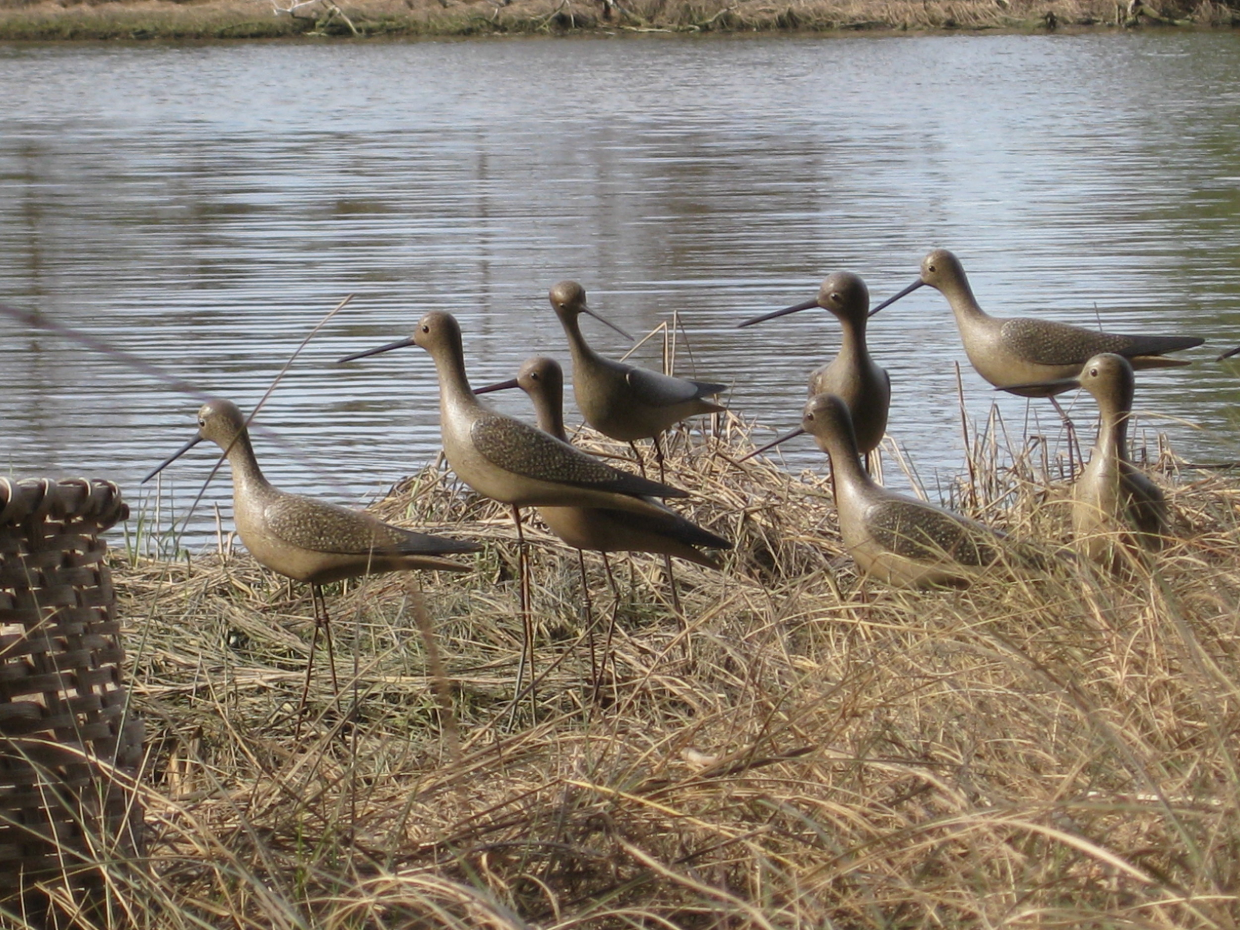 Yellowlegs Rig in the field