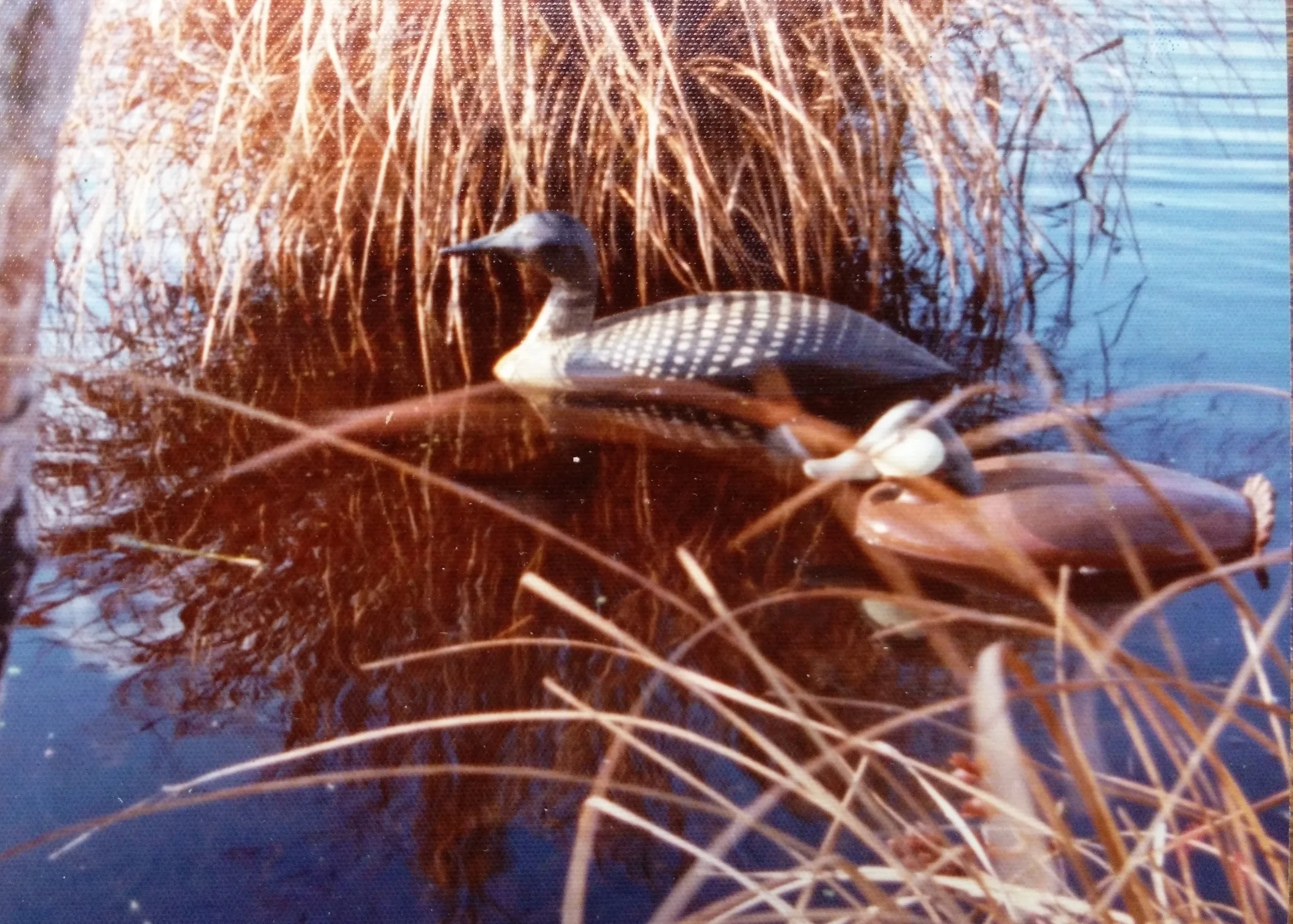 2015-10-16 10.56.37.jpg