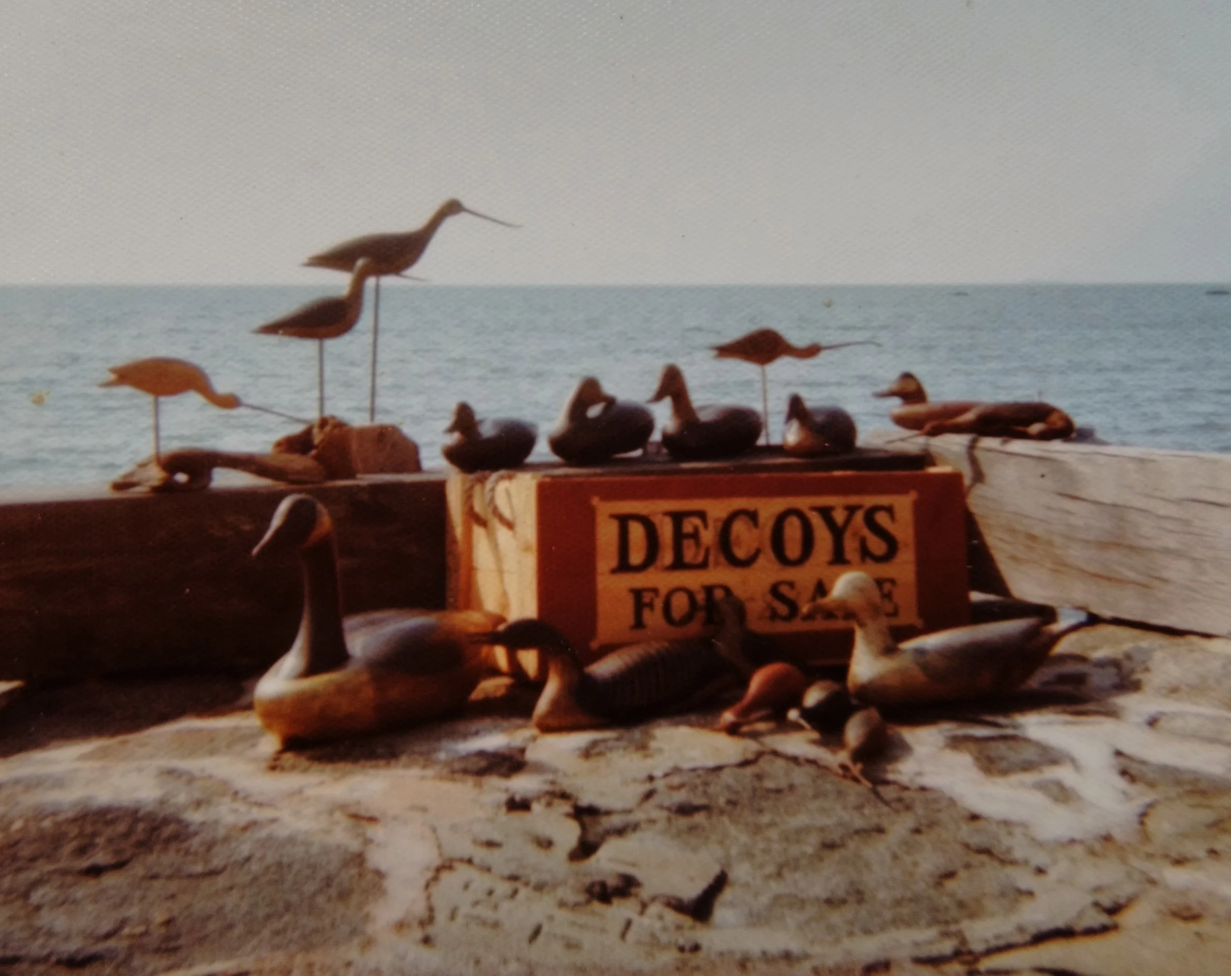 2015-10-16 11.03.18.jpg