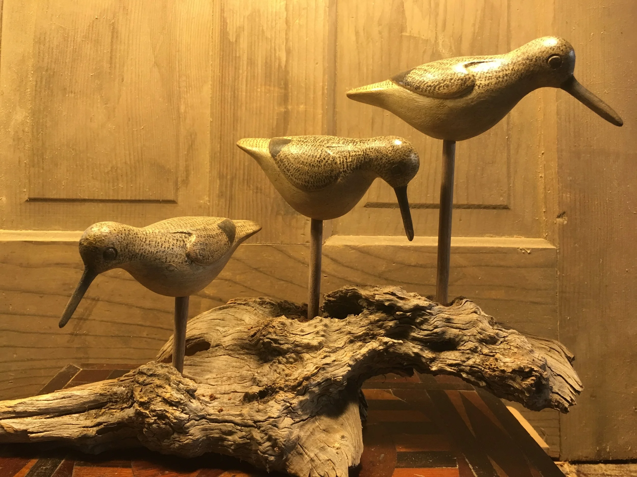 Audubon Gallery Show