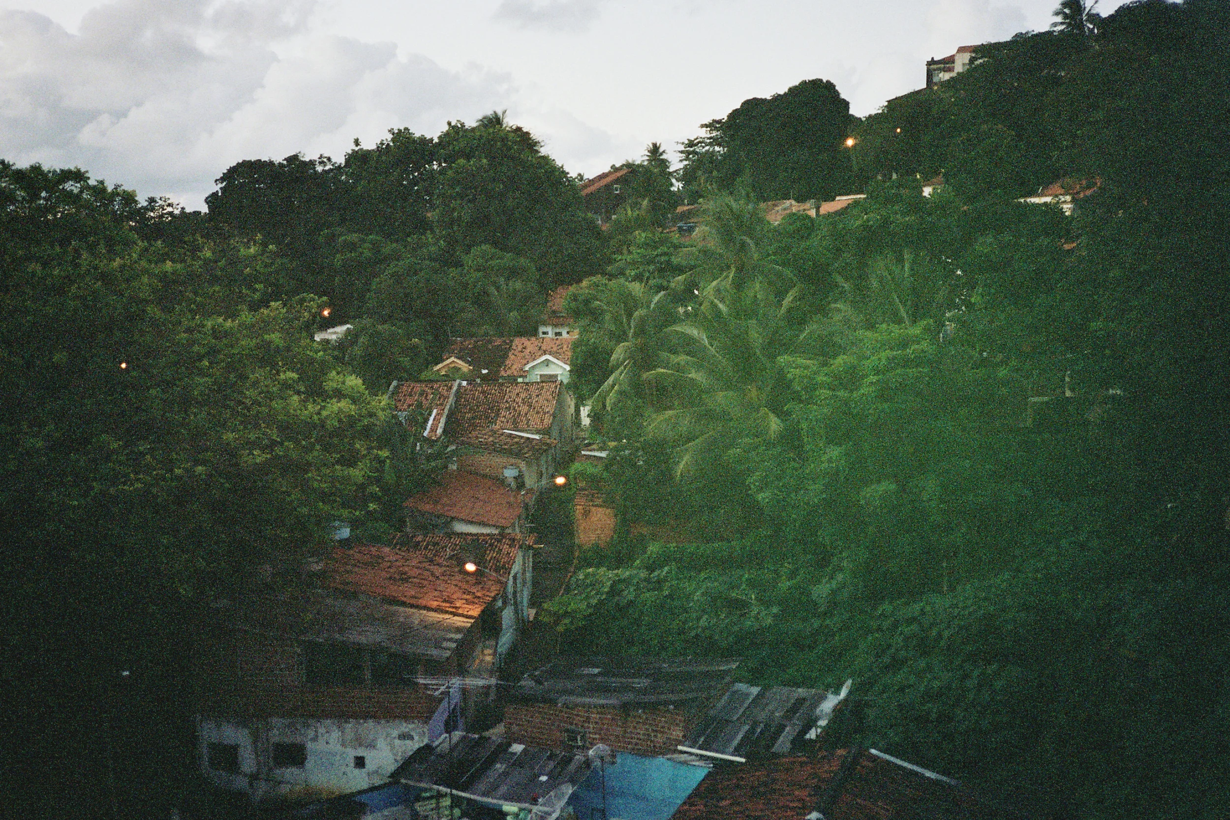 _7A_0426.jpg