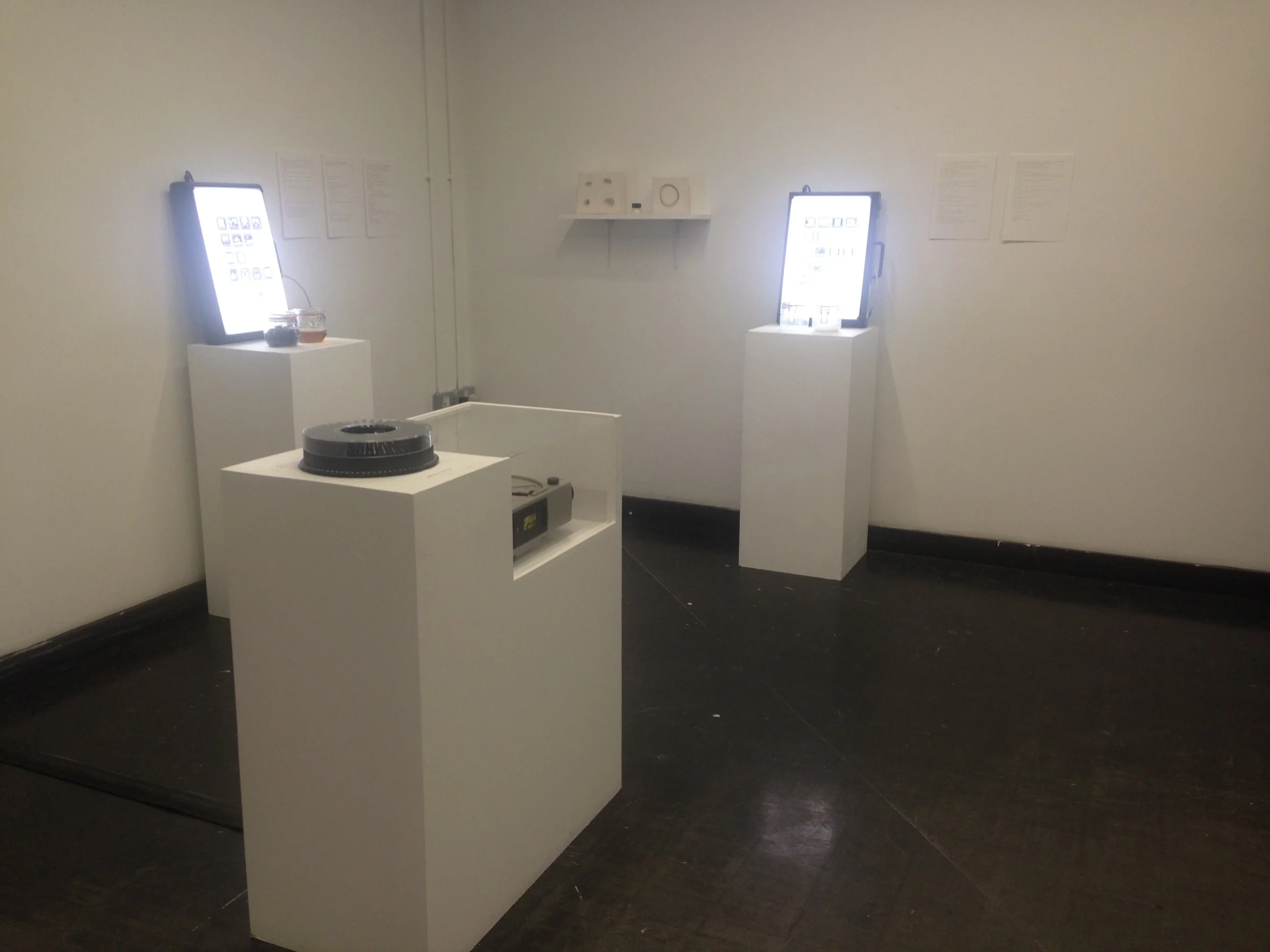 The Lost and Regrettable Object, December 2015