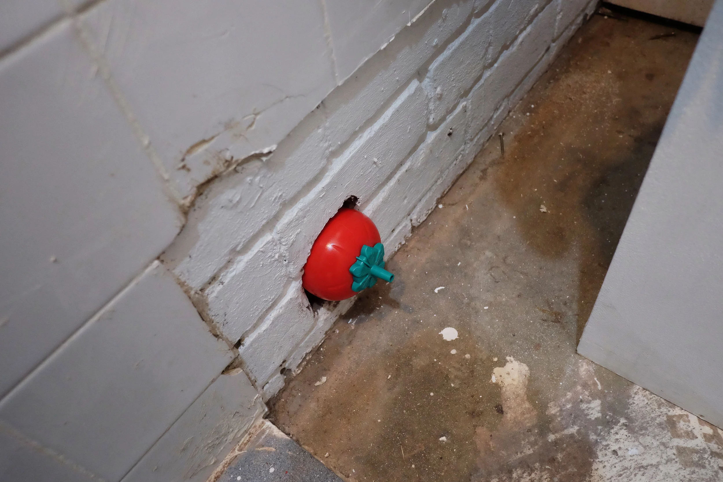 Fruitless, 2017 - detail of installation