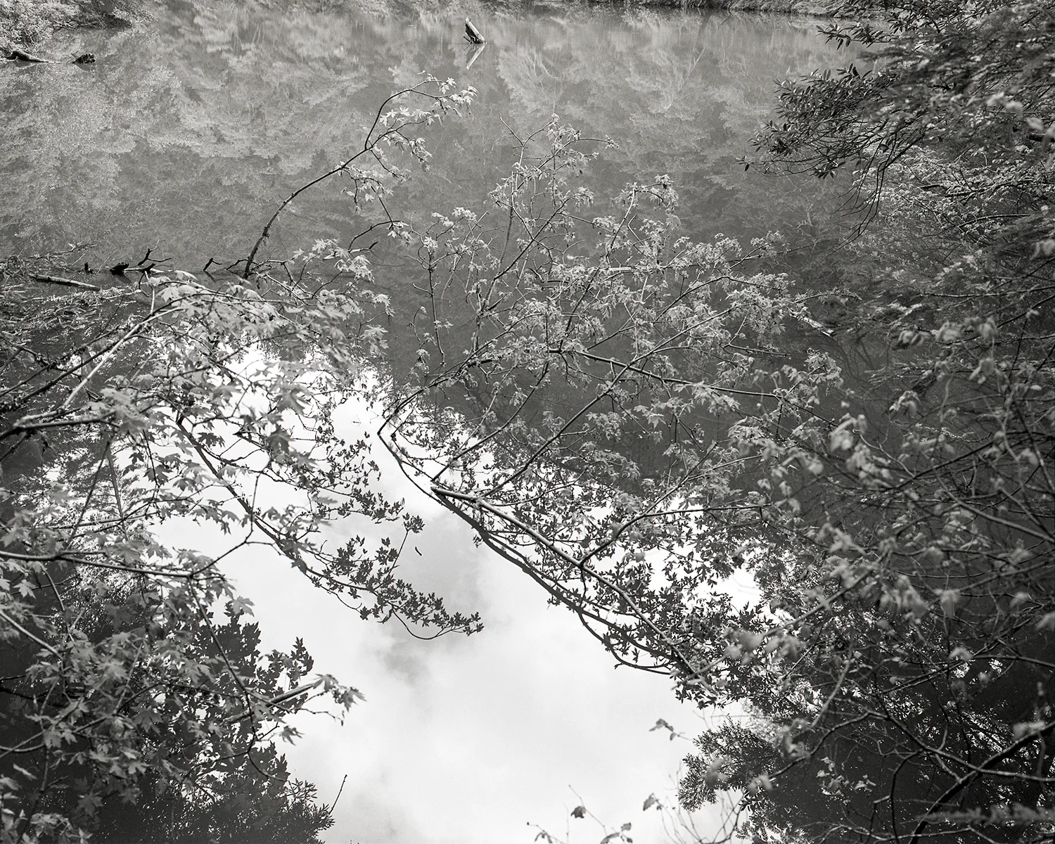 2013-2014 -072F.jpg