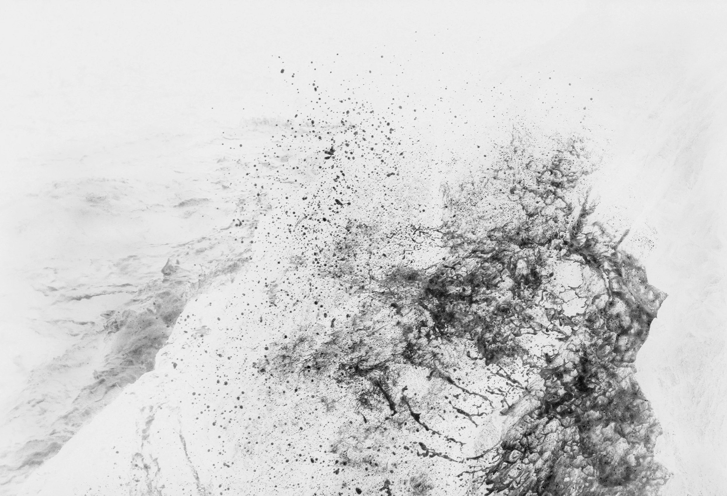 6x7 9 2022 - 005b 11-Edit-Edit-Edit.jpg