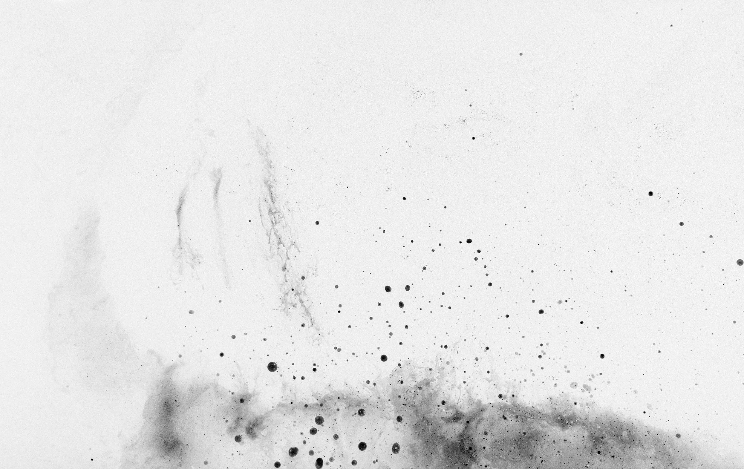 6x7 9 2023 - 003 2-Edit-Edit invert.jpg