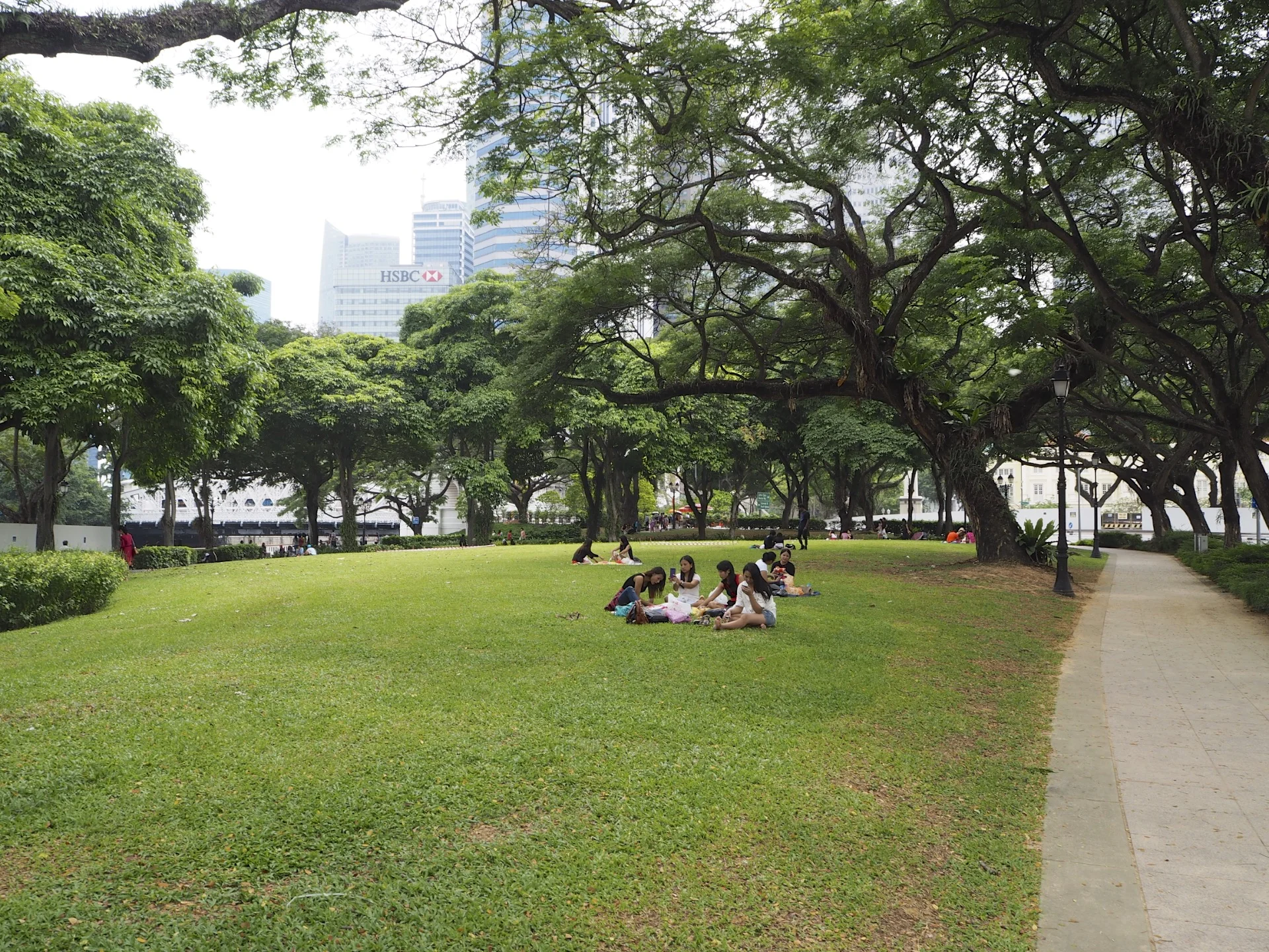 P1251973.jpg
