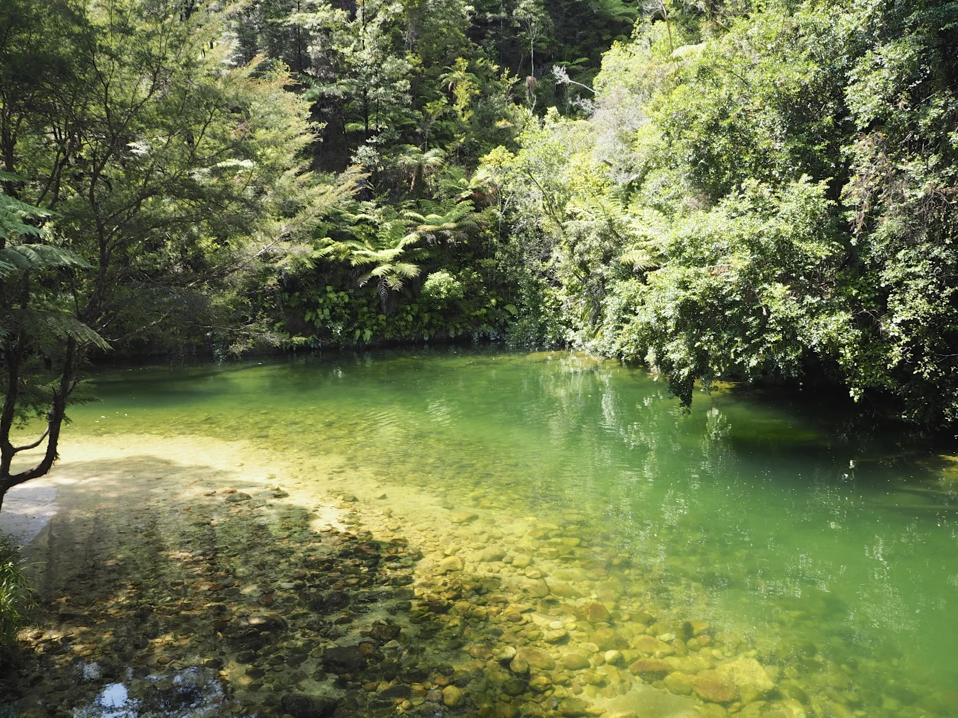 P2083562.jpg