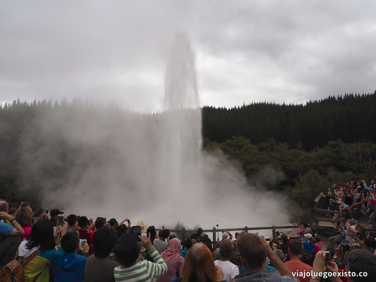 Lady Knox Geyser