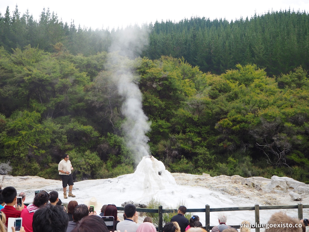 Lady Knox Geyser