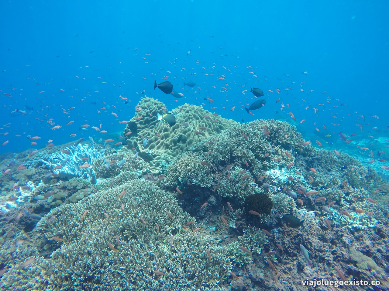 GOPR0224.jpg