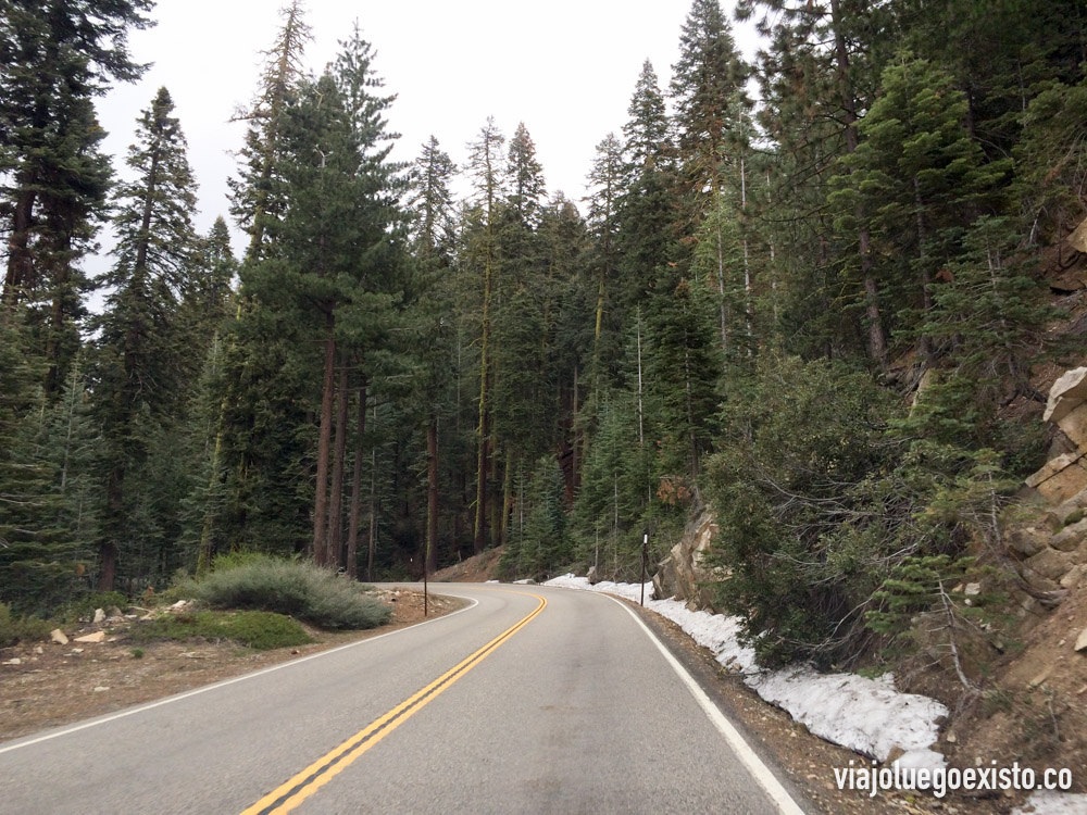  Carreteras con mucho encanto alrededor de Mariposa Grove 