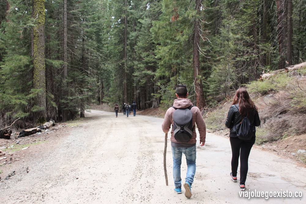  Haciendo la ruta de Lower Grove 