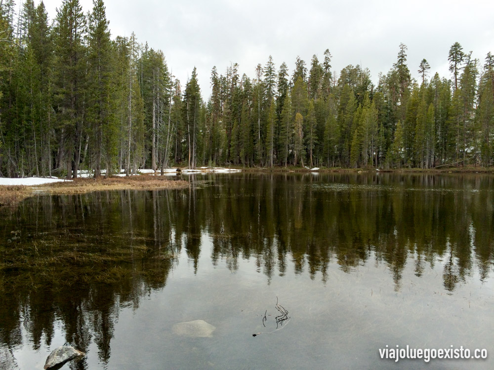  Alrededores de Tioga Pass 