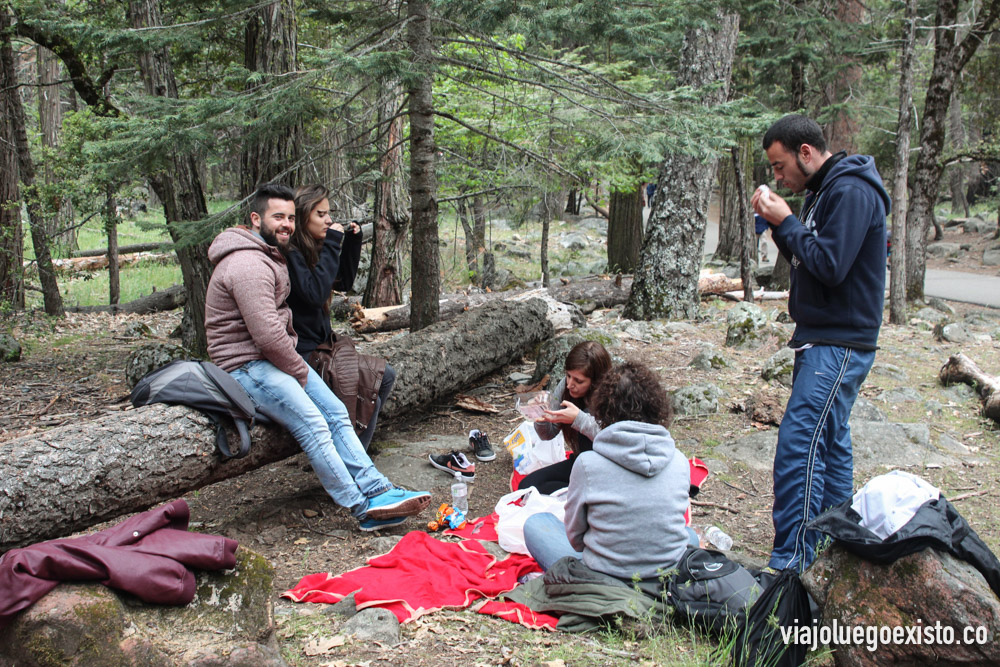  De picnic en Bridalvale Fall 