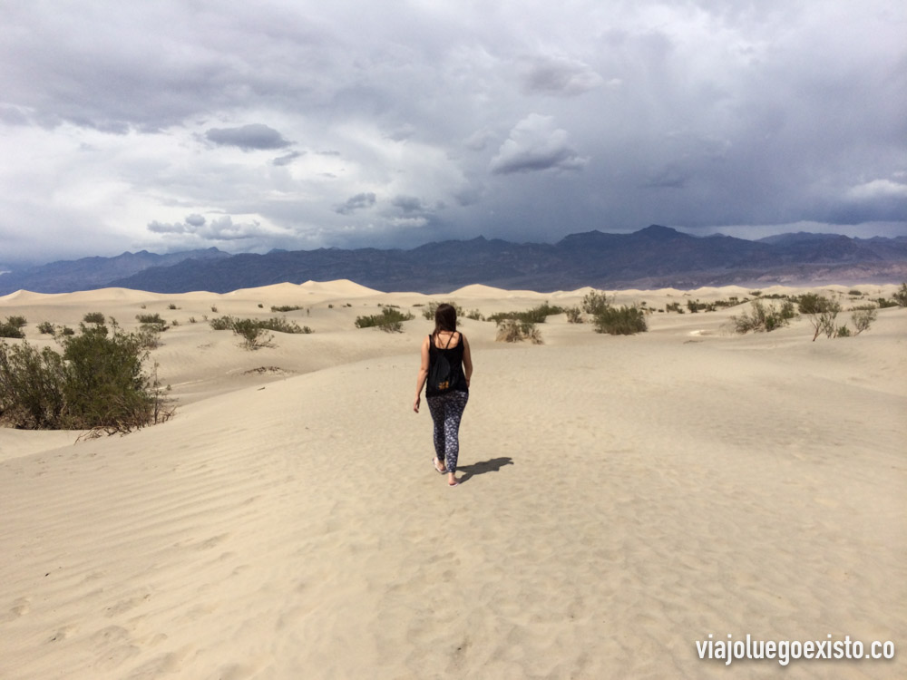  Dunas de Mesquite Fland 