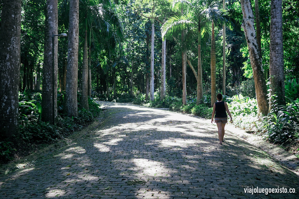  Entrando al Parque Laje 