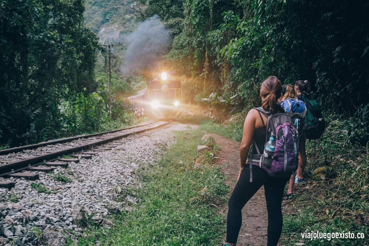  Un tren aproximándose, pasan muy pocos así que no es peligroso 