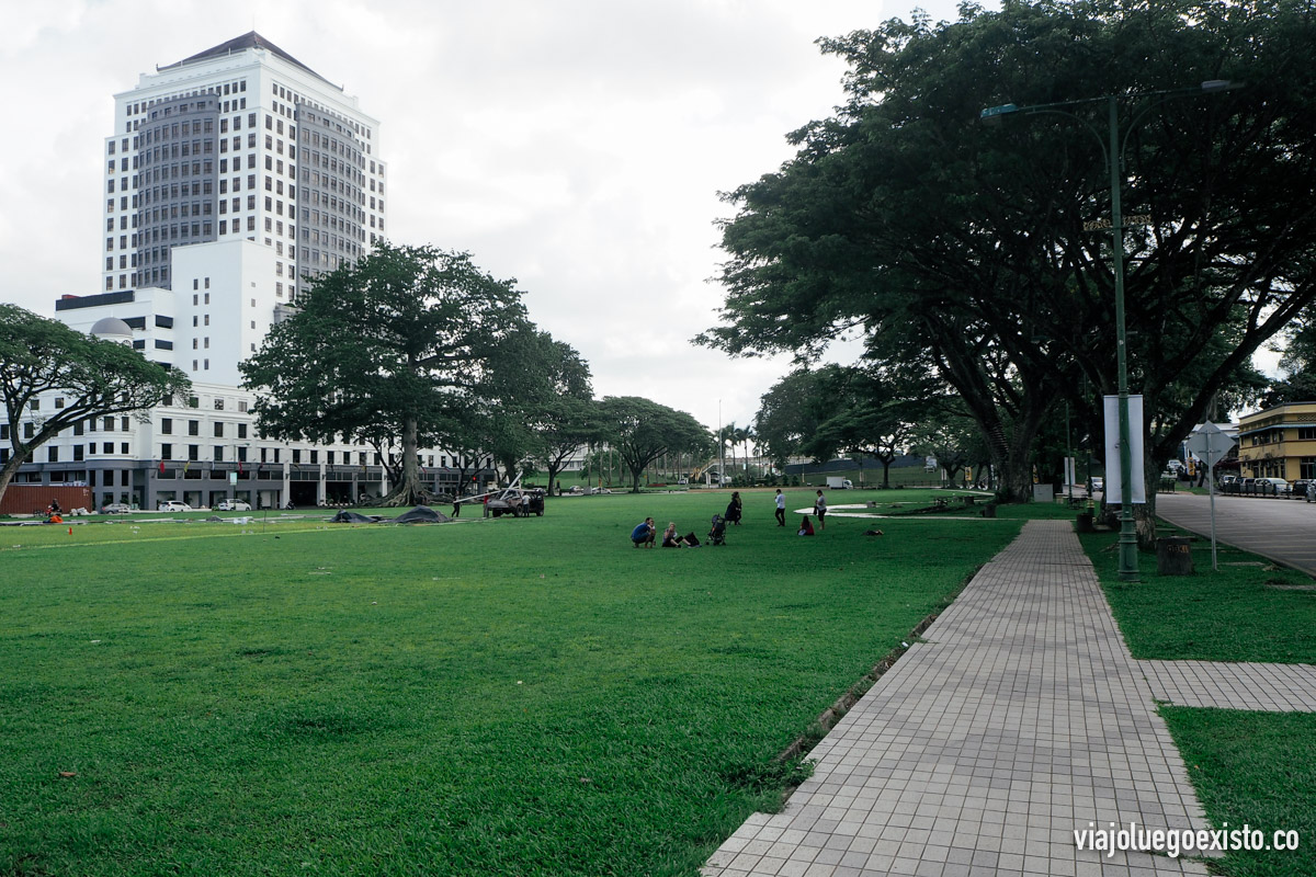 20161108-PB080415.jpg