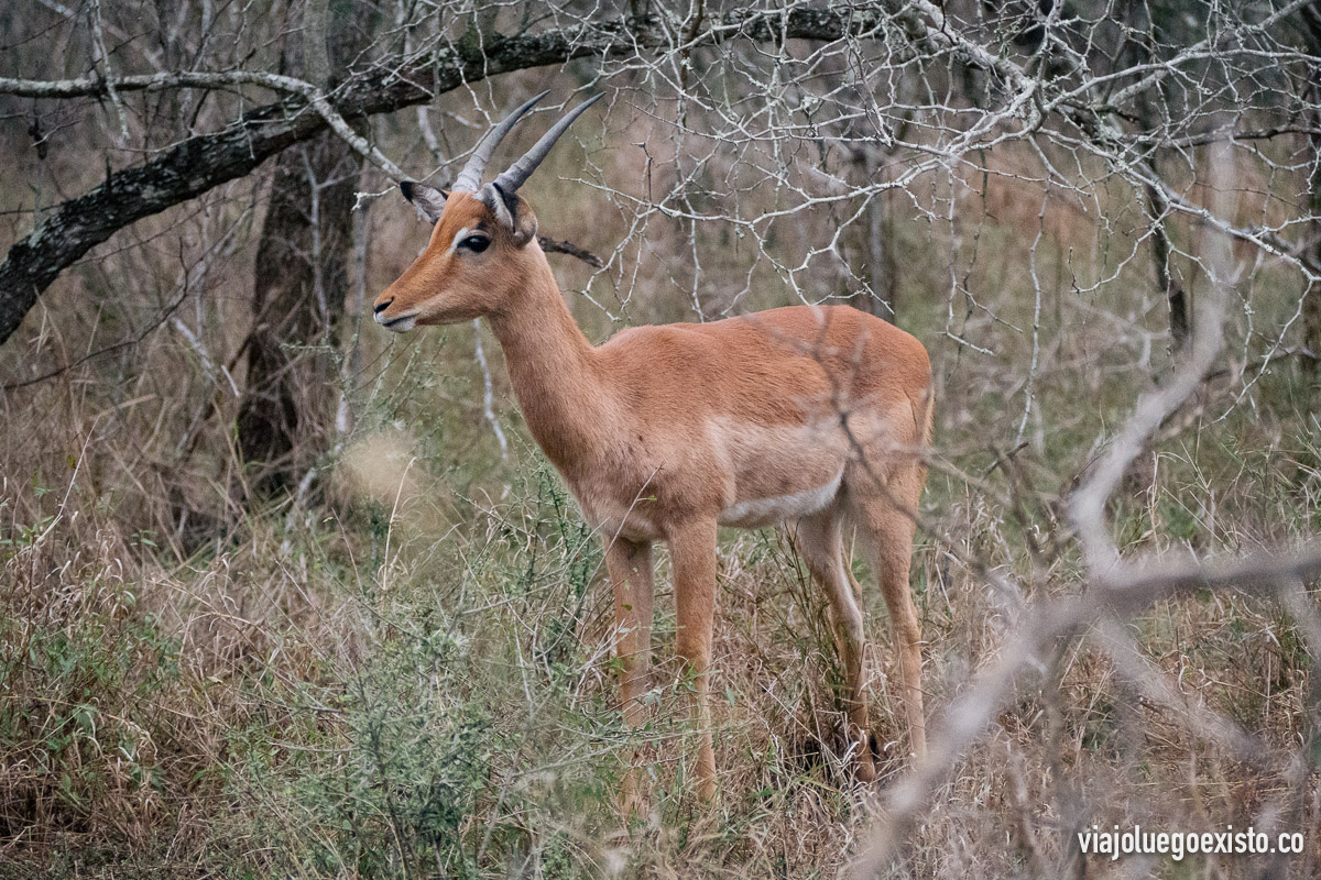 20181015-PA150075.jpg