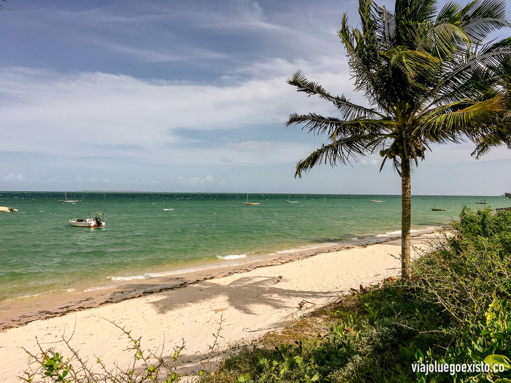  Vistas desde nuestro jardín en el Baobab Beach Resort 