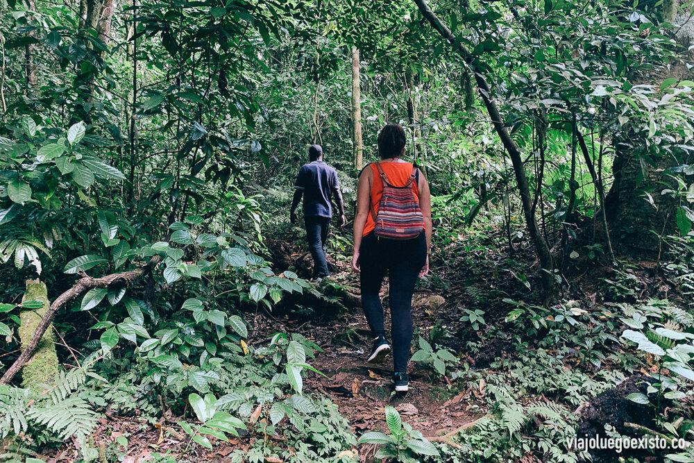  Trekking de Lagoa Amelia. 