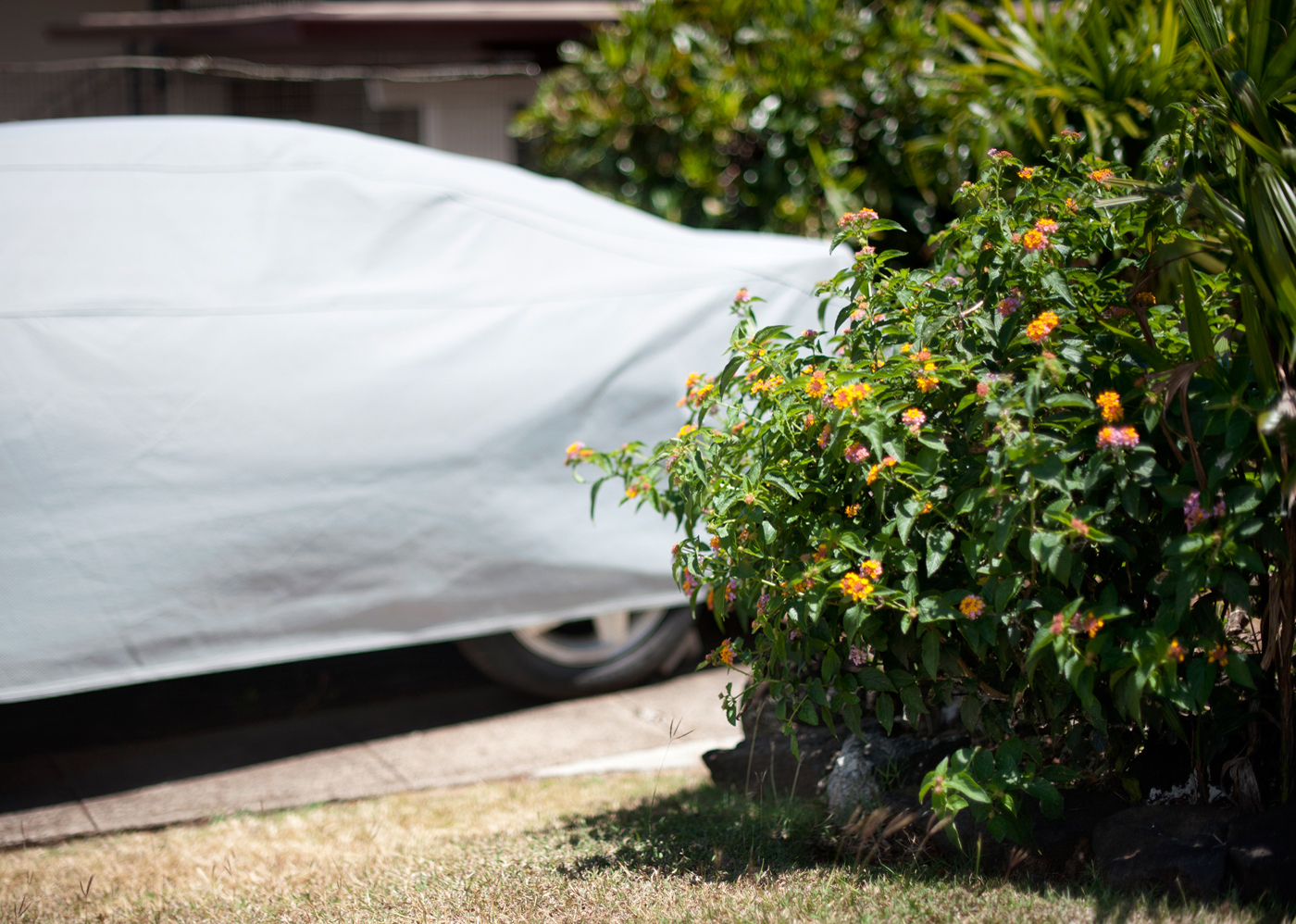Manoa II Archival Pigment Print, 27.5" x 19.75" 2013