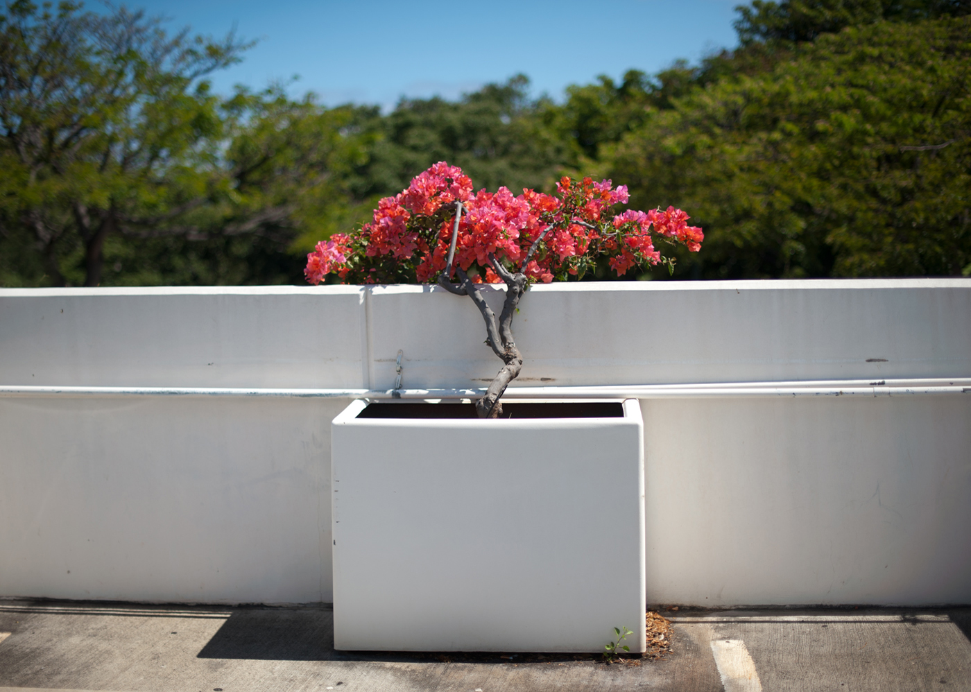 Ala Moana Archival Pigment Print, 27.5" x 19.75" 2013