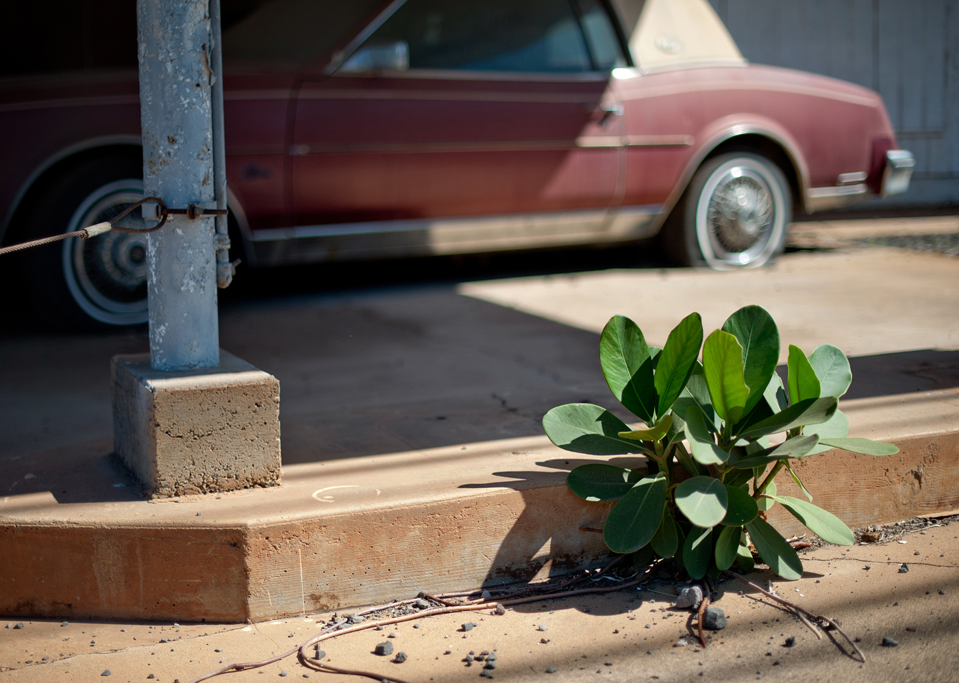 Haleiwa Beach Road I Archival Pigment Print, 27.5" x 19.75" 2013