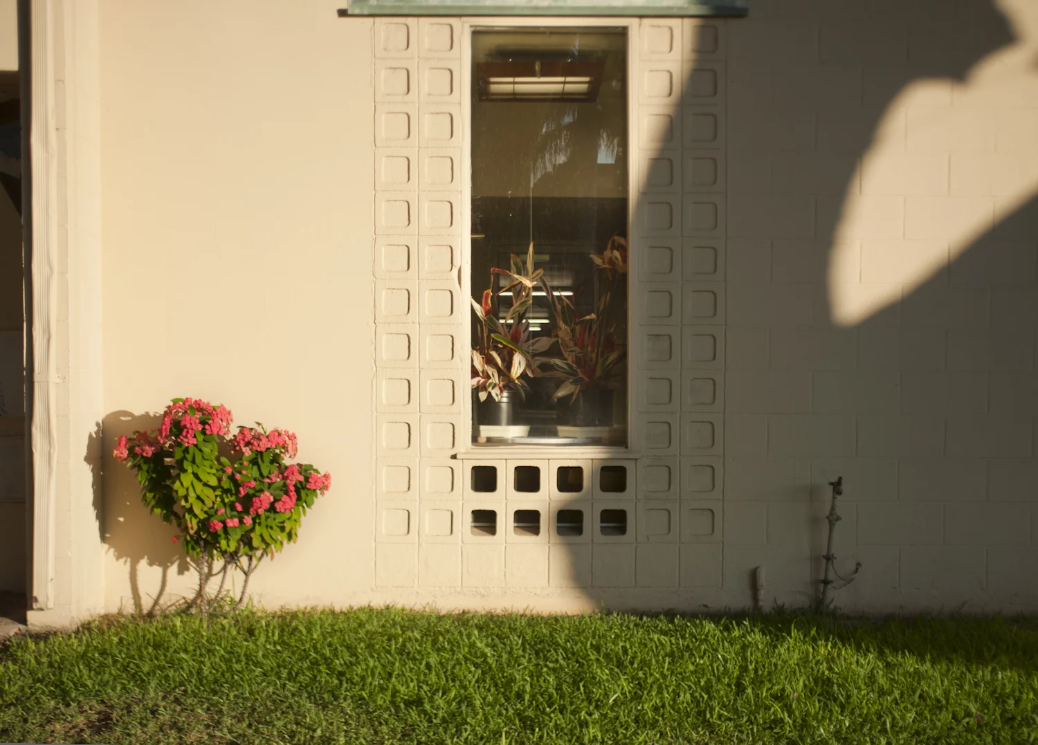 Punahou Archival Pigment Print, 27.5" x 19.75" 2013