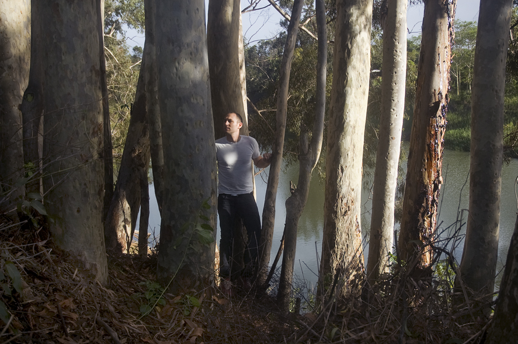 The Forest (2009) Archival Inkjet Print, 24"x16"