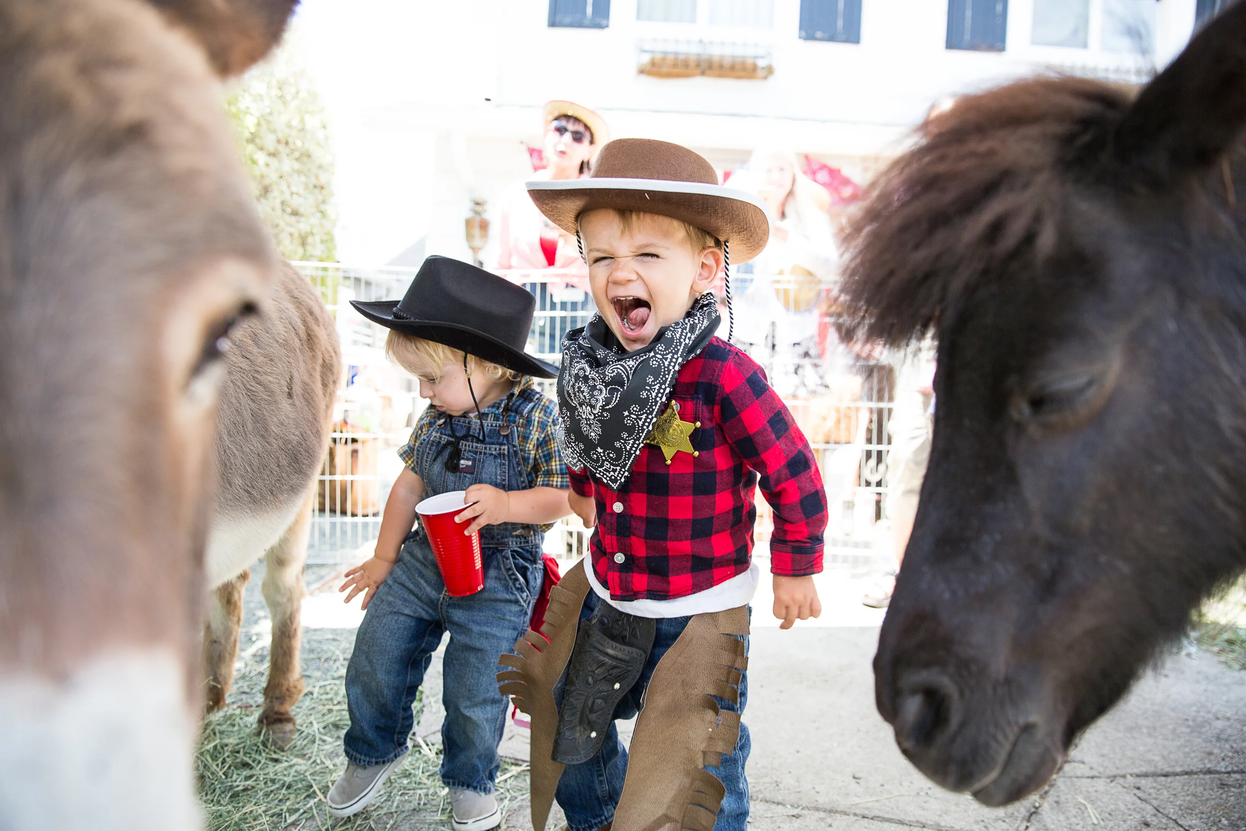 A Dude Ranch would not be complete without a petting zoo.